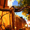 bike2